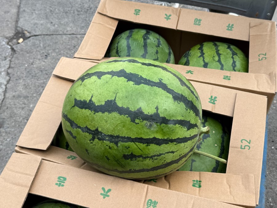微信圖片_20250806103458.jpg